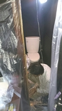 京都市先斗町のトイレの壁紙塗装　施工中